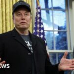 Elon Musk denies ‘hostile takeover’ of government in surprise White House appearance